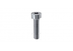 7190-221A Delphi Pompa Vidası